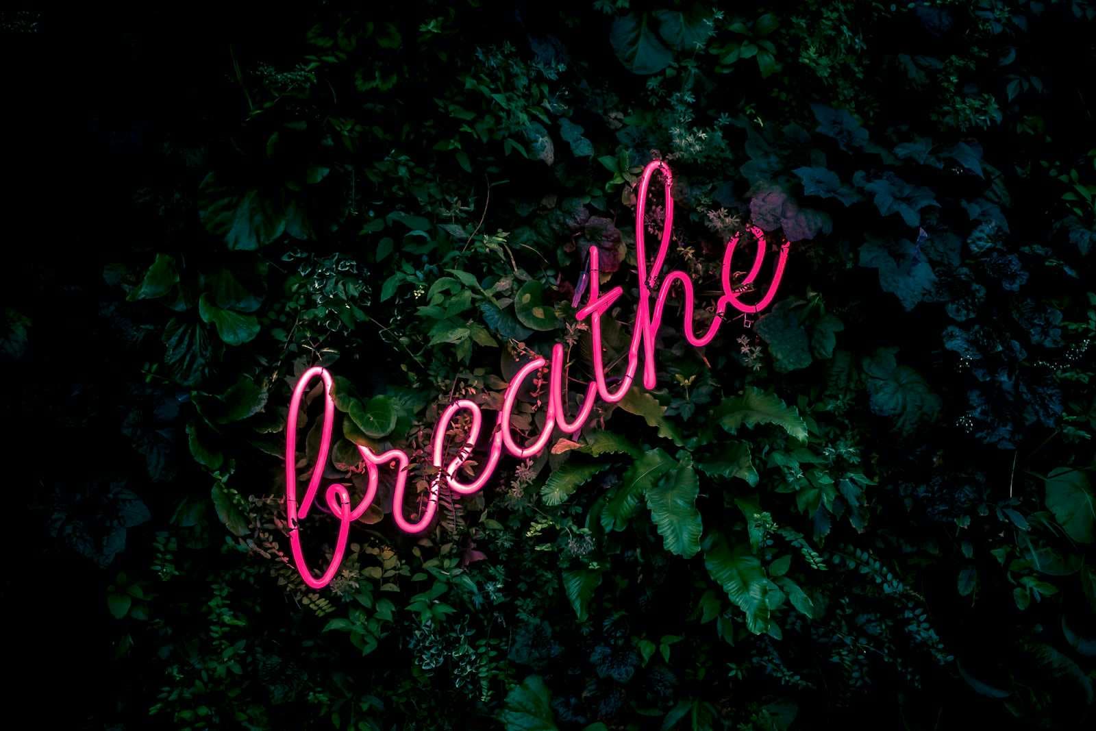 Find Your Happy Place: Wellness Tips for Work